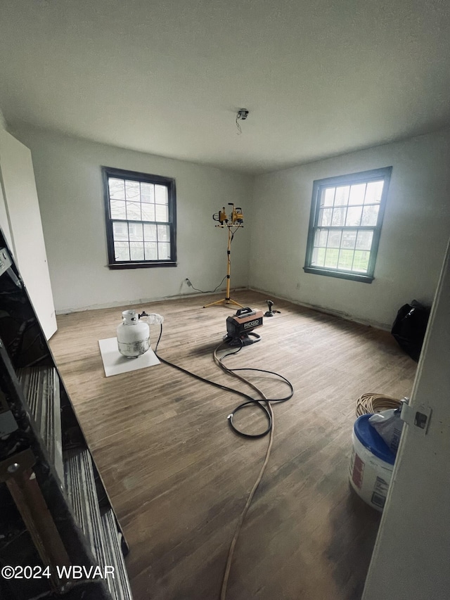 unfurnished dining area with light hardwood / wood-style floors and a healthy amount of sunlight