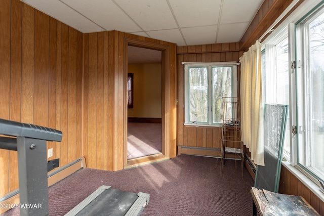 misc room featuring a paneled ceiling, a healthy amount of sunlight, carpet flooring, and wood walls