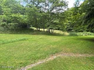 300 Simonds Hill Rd, Westfield, PA 16950 - photo 5