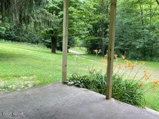 300 Simonds Hill Rd, Westfield, PA 16950 - photo 4