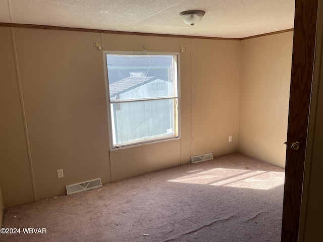 carpeted spare room with a textured ceiling