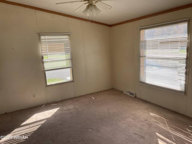 empty room with light carpet, plenty of natural light, and ornamental molding