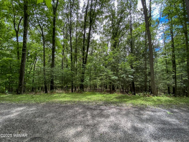 Serge Mountain Rd, Howard, PA 16841