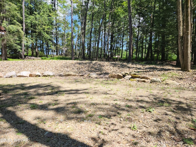 110 Worlds End Rd, Muncy Valley, PA 17758 - view of yard
