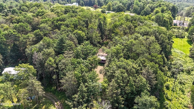 110 Worlds End Rd, Muncy Valley, PA 17758 - aerial view of a heavily wooded area