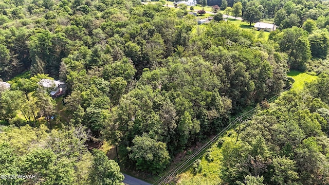 110 Worlds End Rd, Muncy Valley, PA 17758 - drone / aerial view of a forest