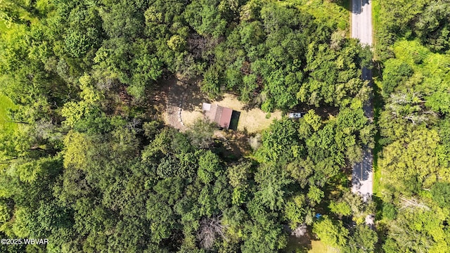 110 Worlds End Rd, Muncy Valley, PA 17758 - drone / aerial view