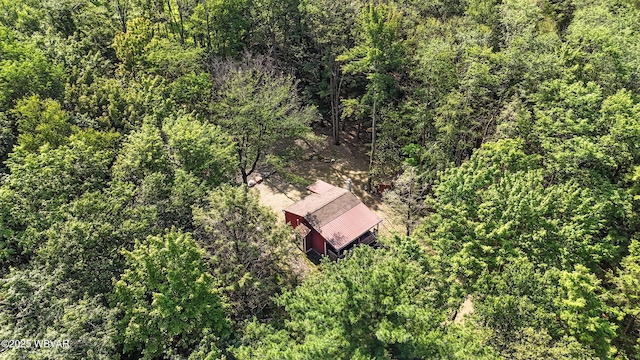 110 Worlds End Rd, Muncy Valley, PA 17758 - view from above of property featuring a forest