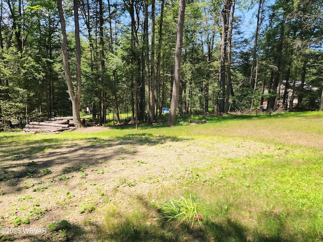 110 Worlds End Rd, Muncy Valley, PA 17758 - view of yard