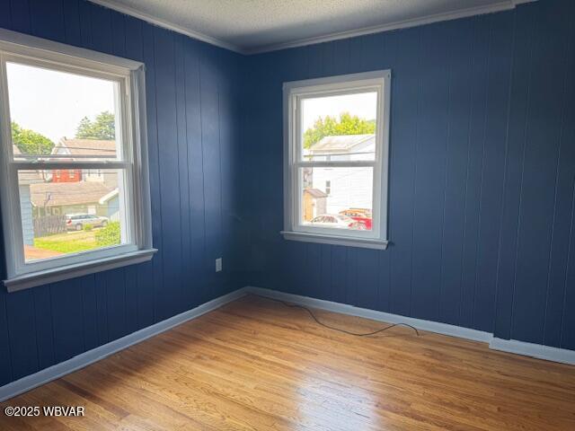 319 Adams St, Williamsport, PA 17701 - photo 19