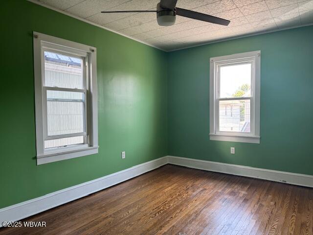 319 Adams St, Williamsport, PA 17701 - photo 18
