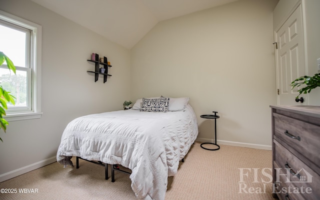335 Chirlton Pt, Montoursville, PA 17754 - bedroom featuring lofted ceiling, baseboards, and carpet floors