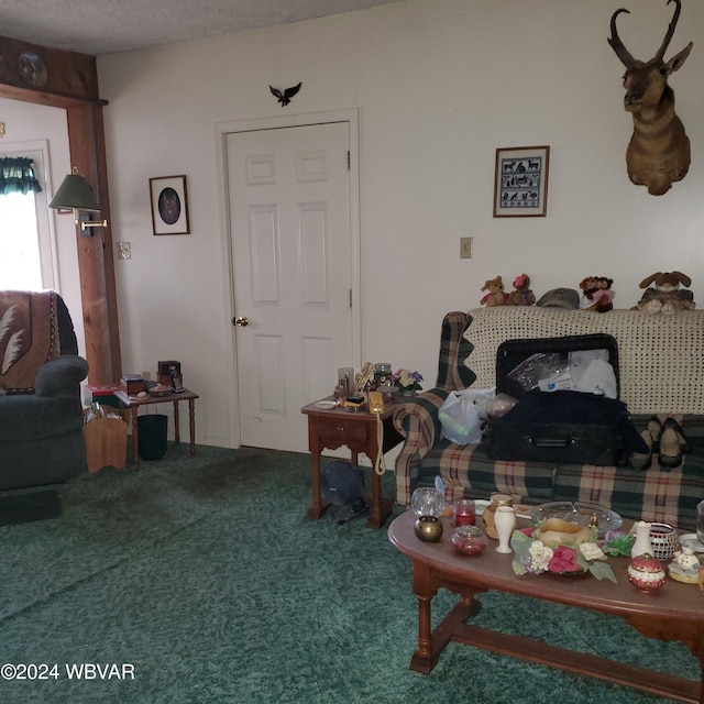 carpeted living room with a textured ceiling