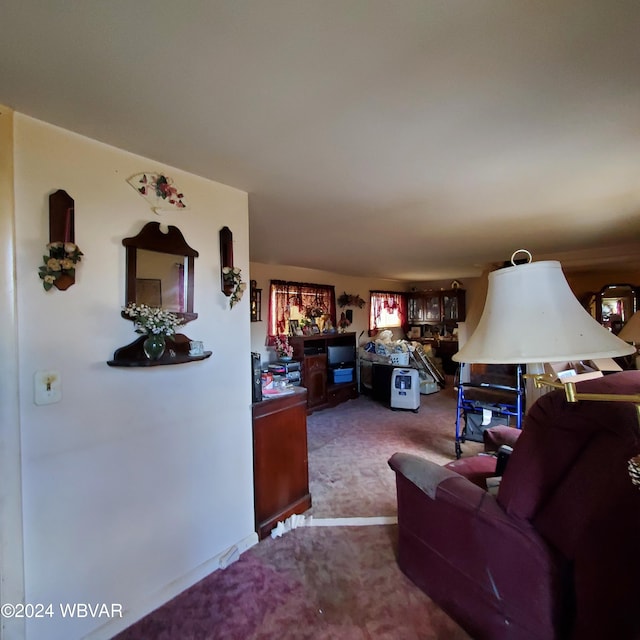 living room with carpet floors