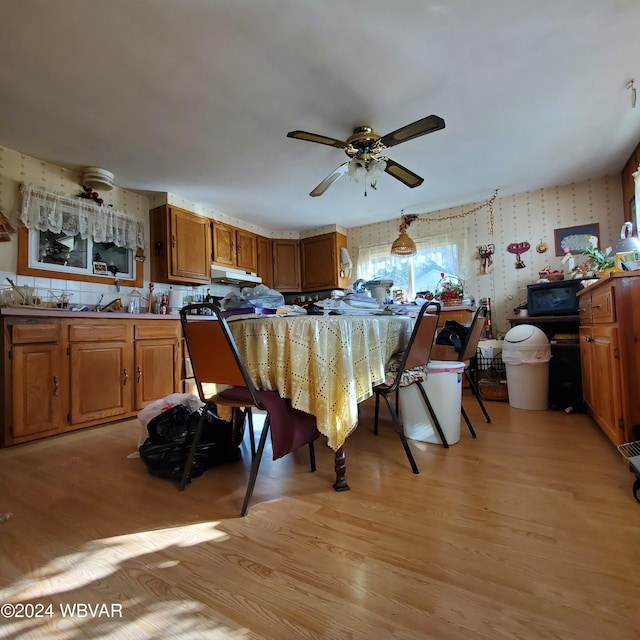 dining space featuring light hardwood / wood-style flooring and ceiling fan