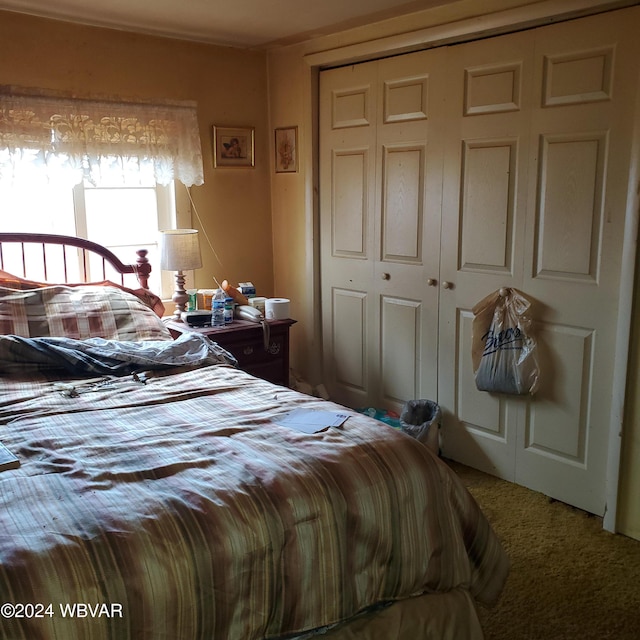 carpeted bedroom featuring a closet