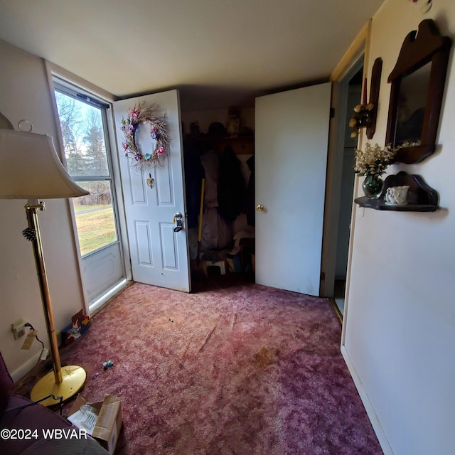 entryway featuring carpet flooring