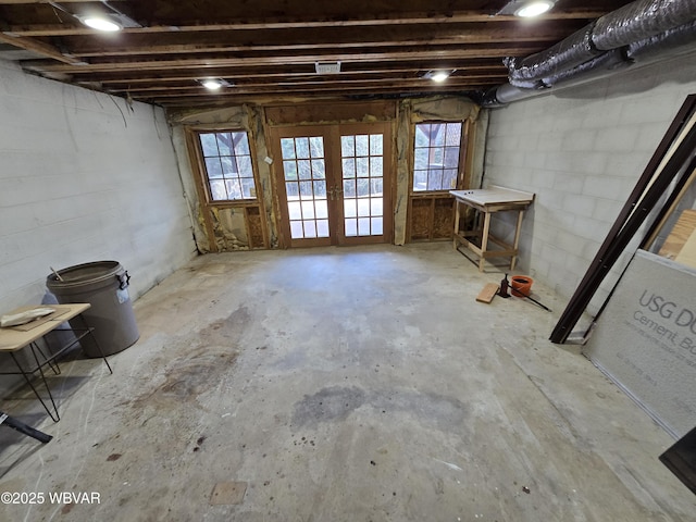 basement featuring a healthy amount of sunlight and french doors