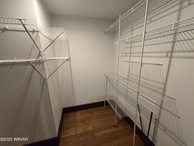 spacious closet featuring wood finished floors