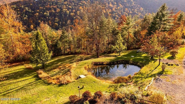 birds eye view of property featuring a forest view and a water view