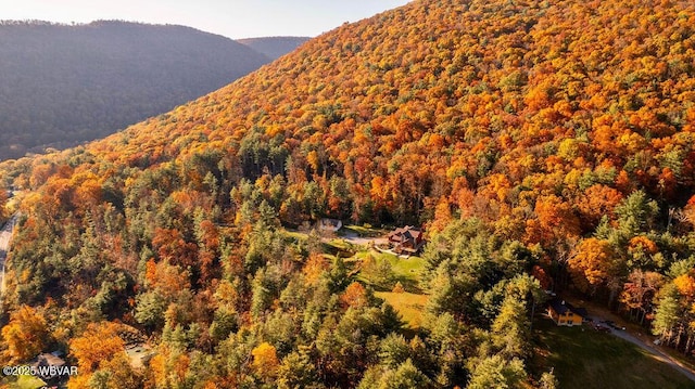 view of mountain feature with a forest view