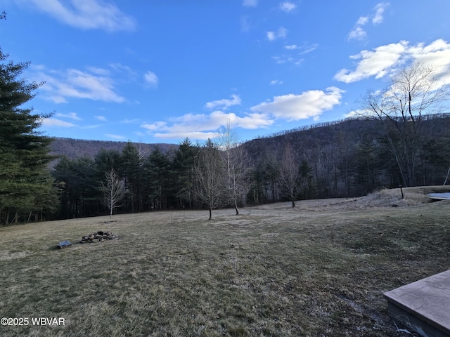 mountain view featuring a forest view