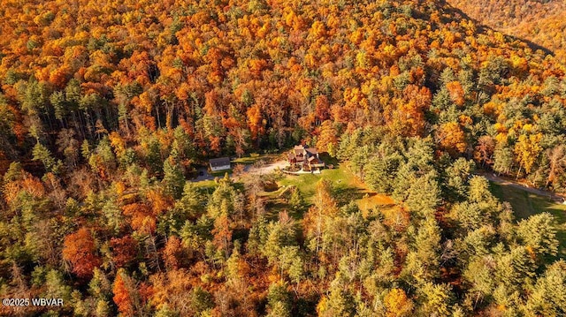 bird's eye view with a wooded view