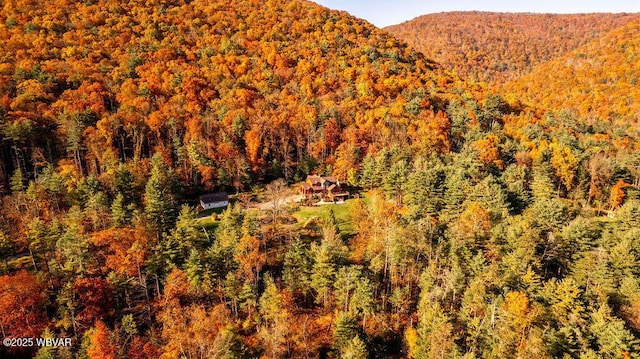 mountain view with a forest view