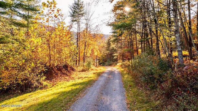 view of road with a forest view