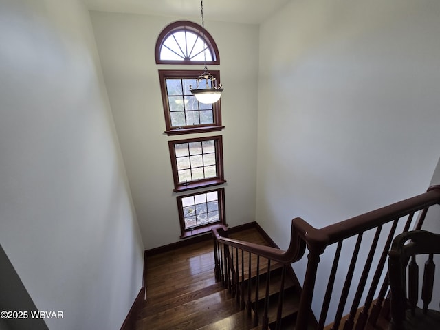 foyer entrance featuring a wealth of natural light, a high ceiling, dark wood-type flooring, and baseboards