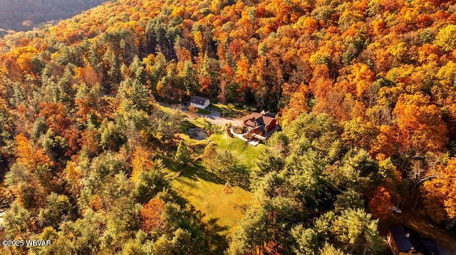 aerial view with a view of trees