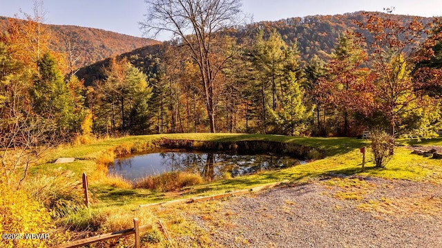 property view of mountains featuring a forest view and a water view