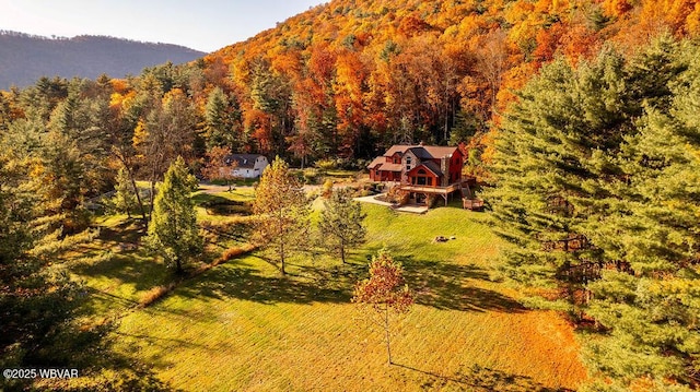 aerial view with a mountain view and a view of trees