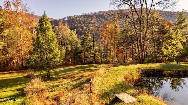 view of yard featuring a forest view