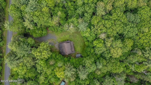 175 Hemlock Ln, Millville, PA 17846 - aerial view of property's location