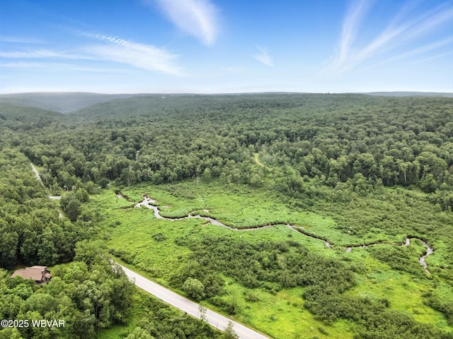 72 Carl Rd, Dushore, PA 18614 - drone / aerial view of a heavily wooded area