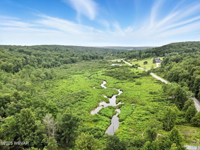 72 Carl Rd, Dushore, PA 18614 - drone / aerial view of a heavily wooded area