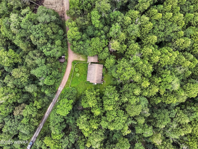 72 Carl Rd, Dushore, PA 18614 - aerial view of property's location