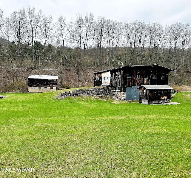2155 Slacks Run Rd, Trout Run, PA 17771 - back of property with a lawn and an outbuilding