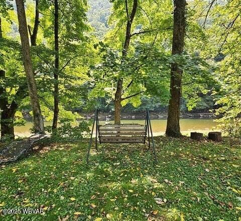68 Sassafras Ln, Waterville, PA 17776 - view of property's community featuring a wooded view