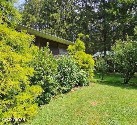 68 Sassafras Ln, Waterville, PA 17776 - view of yard