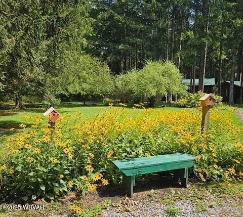 68 Sassafras Ln, Waterville, PA 17776 - view of property's community