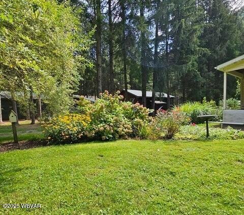 68 Sassafras Ln, Waterville, PA 17776 - view of yard