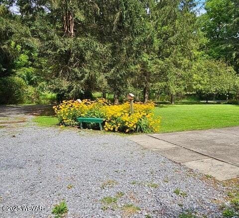 68 Sassafras Ln, Waterville, PA 17776 - view of property's community featuring a yard
