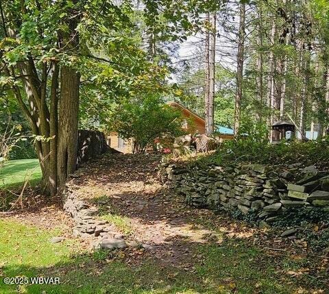 68 Sassafras Ln, Waterville, PA 17776 - view of yard