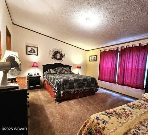 68 Sassafras Ln, Waterville, PA 17776 - bedroom with carpet flooring, a textured ceiling, and ornamental molding