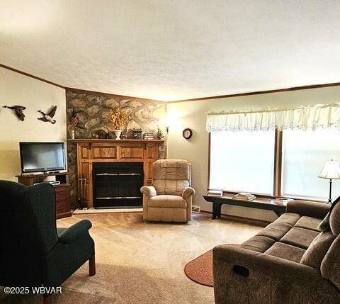 68 Sassafras Ln, Waterville, PA 17776 - living area with a glass covered fireplace, ornamental molding, light carpet, and a textured ceiling