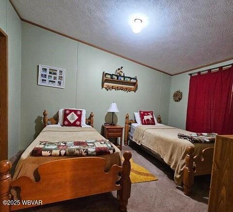 68 Sassafras Ln, Waterville, PA 17776 - carpeted bedroom featuring ornamental molding, a textured ceiling, and lofted ceiling