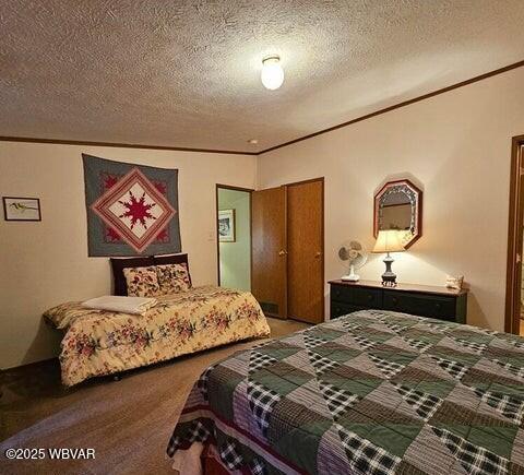 68 Sassafras Ln, Waterville, PA 17776 - carpeted bedroom featuring crown molding and a textured ceiling