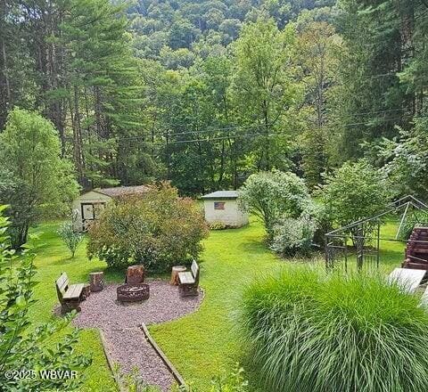 68 Sassafras Ln, Waterville, PA 17776 - view of yard with a view of trees, an outdoor fire pit, a shed, and an outbuilding